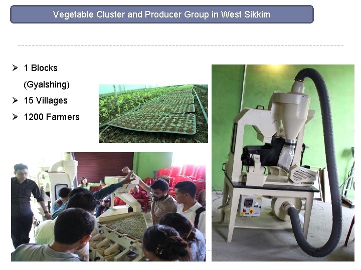 Vegetable Cluster and Producer Group in West Sikkim Ø 1 Blocks (Gyalshing) Ø 15