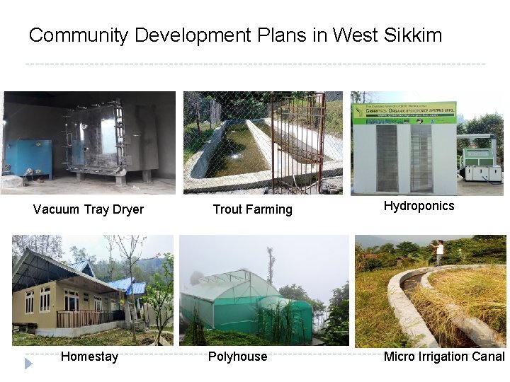 Community Development Plans in West Sikkim Vacuum Tray Dryer Homestay Trout Farming Polyhouse Hydroponics