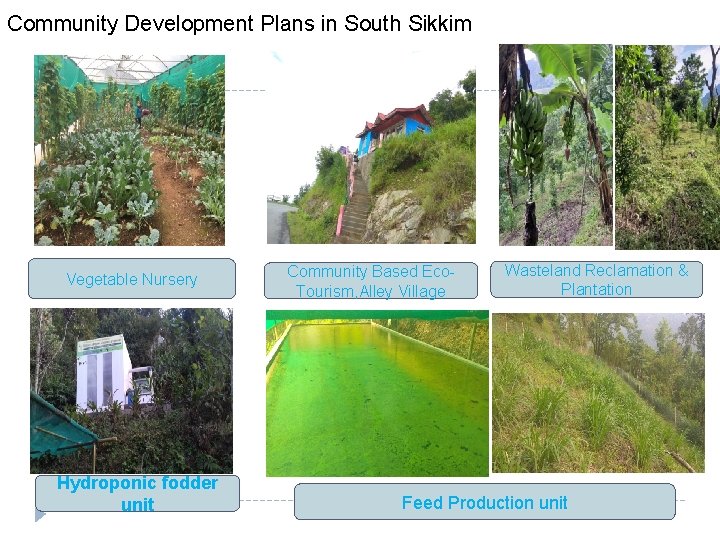 Community Development Plans in South Sikkim Vegetable Nursery Hydroponic fodder unit Community Based Eco.