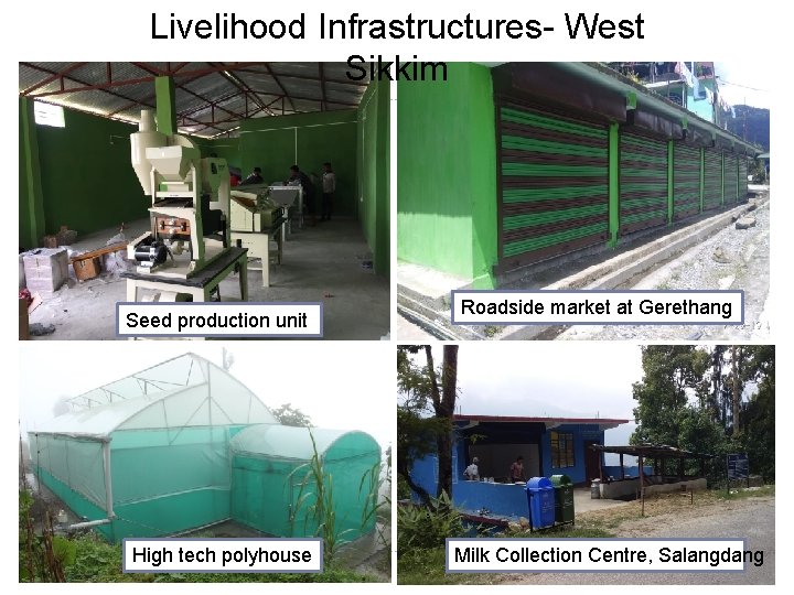 Livelihood Infrastructures- West Sikkim Seed production unit High tech polyhouse Roadside market at Gerethang