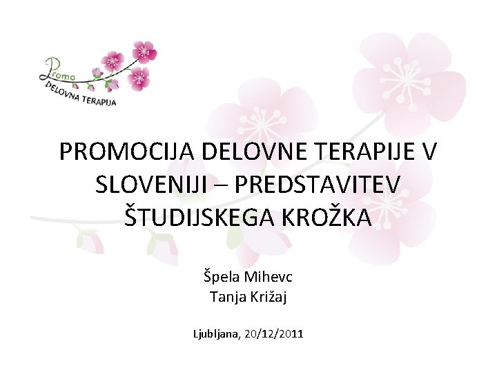 PROMOCIJA DELOVNE TERAPIJE V SLOVENIJI – PREDSTAVITEV ŠTUDIJSKEGA KROŽKA Špela Mihevc Tanja Križaj Ljubljana,