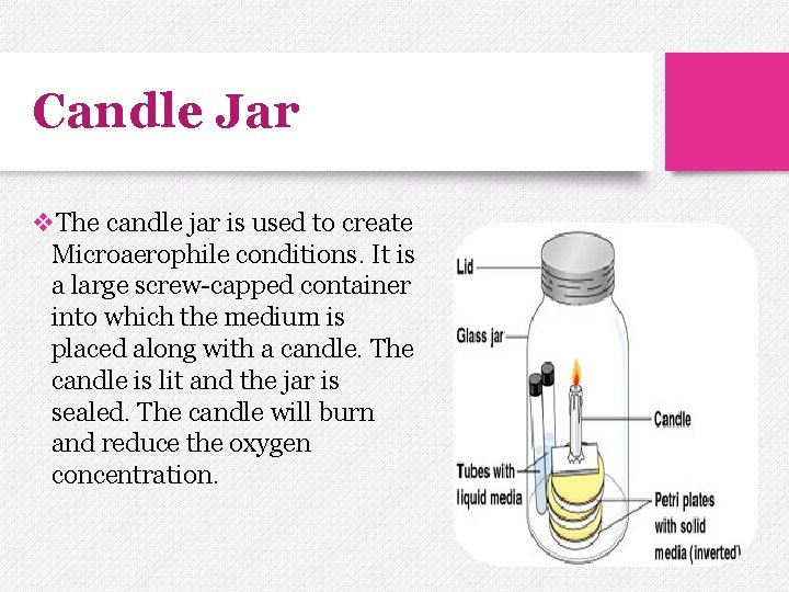 Candle Jar v. The candle jar is used to create Microaerophile conditions. It is