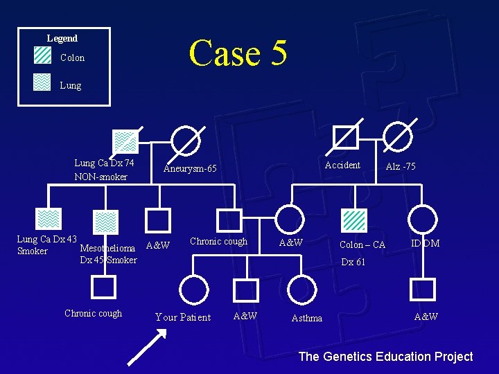 how to apply for covid 19 test in abu dhabi