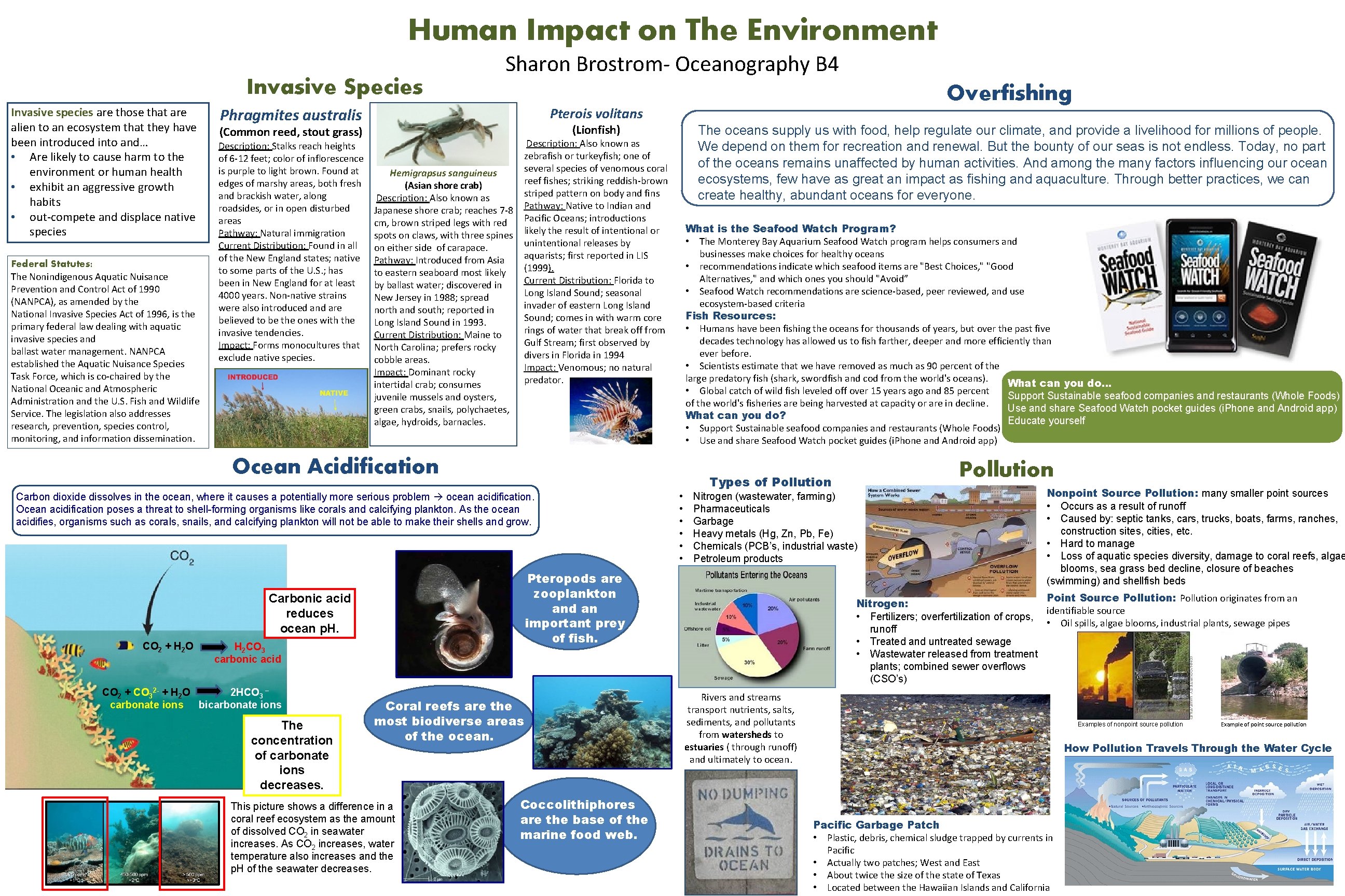 Human Impact on The Environment Invasive Species Invasive species are those that are alien