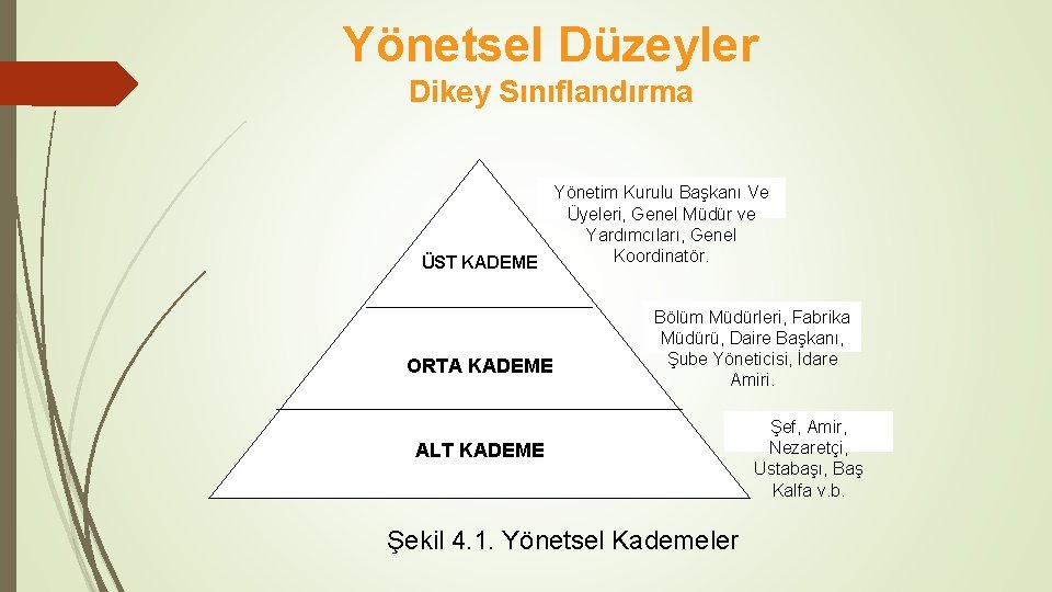 Yönetsel Düzeyler Dikey Sınıflandırma Yönetim Kurulu Başkanı Ve Üyeleri, Genel Müdür ve Yardımcıları, Genel