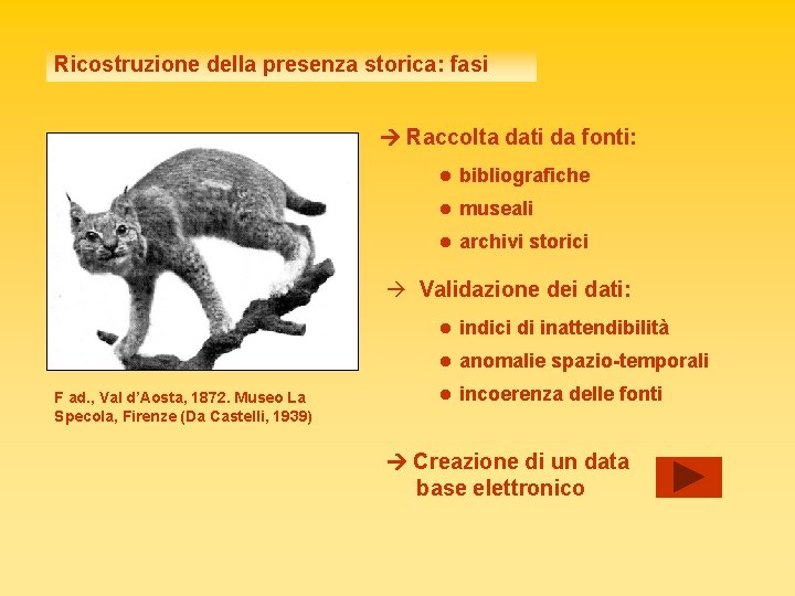 Ricostruzione della presenza storica: fasi Raccolta dati da fonti: • bibliografiche • museali •