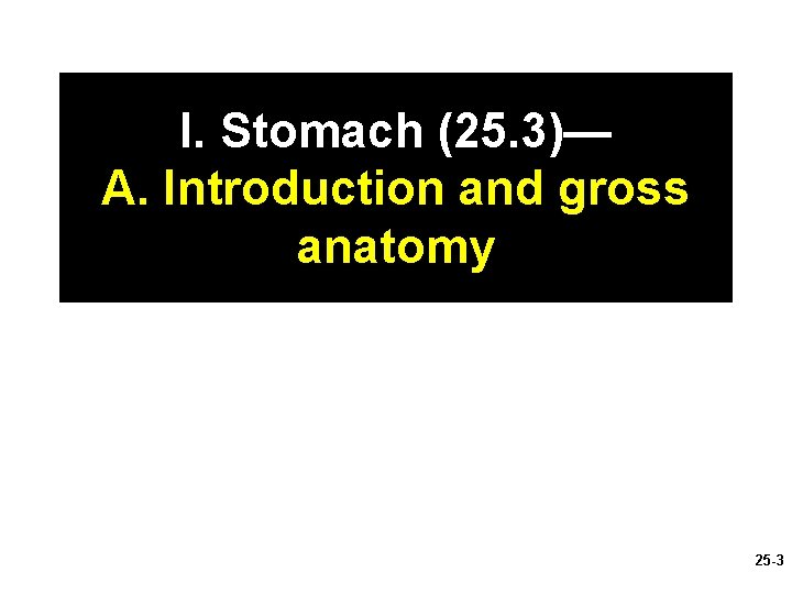 I. Stomach (25. 3)— A. Introduction and gross anatomy 25 -3 