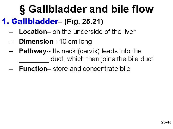 § Gallbladder and bile flow 1. Gallbladder– (Fig. 25. 21) – Location– on the