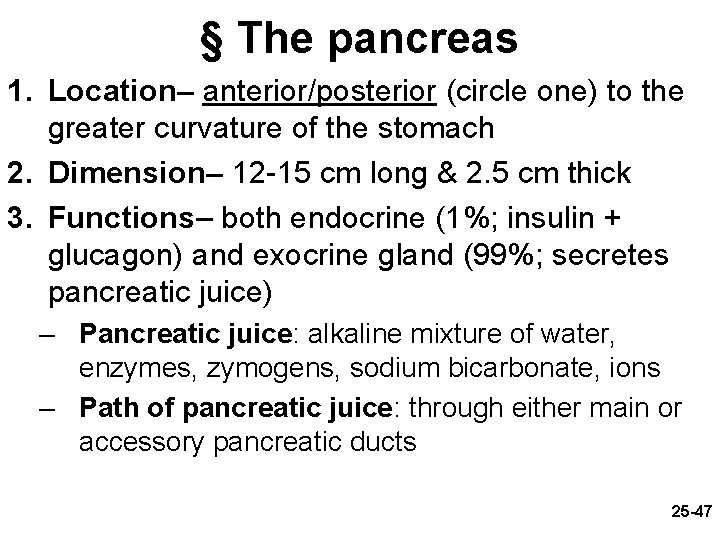 § The pancreas 1. Location– anterior/posterior (circle one) to the greater curvature of the