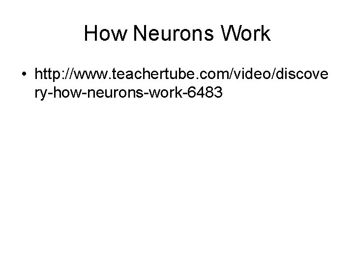 How Neurons Work • http: //www. teachertube. com/video/discove ry-how-neurons-work-6483 How Neurons Work • http: //www. teachertube. com/video/discove ry-how-neurons-work-6483