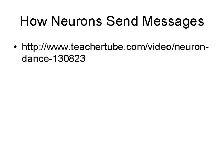 How Neurons Send Messages • http: //www. teachertube. com/video/neurondance-130823 How Neurons Send Messages • http: //www. teachertube. com/video/neurondance-130823