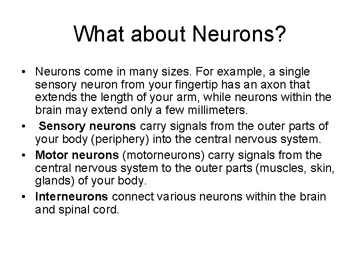 What about Neurons? • Neurons come in many sizes. For example, a single sensory What about Neurons? • Neurons come in many sizes. For example, a single sensory