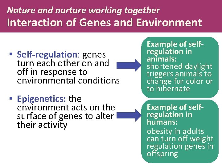 Nature and nurture working together Interaction of Genes and Environment § Self-regulation: genes turn