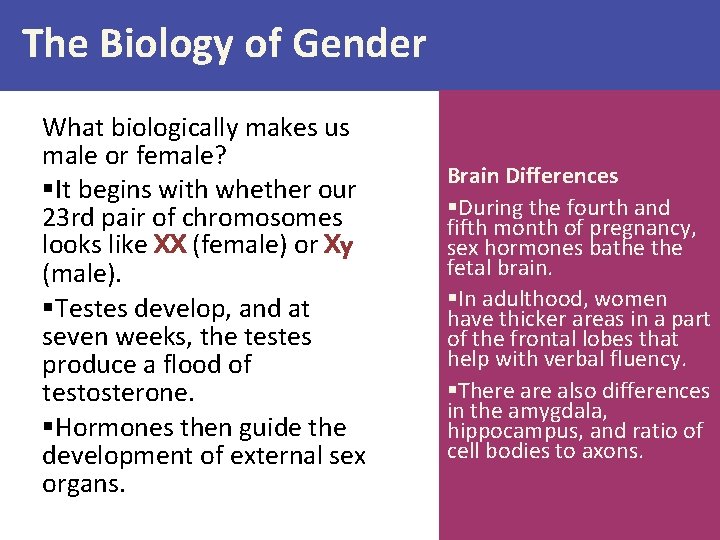 The Biology of Gender What biologically makes us male or female? §It begins with