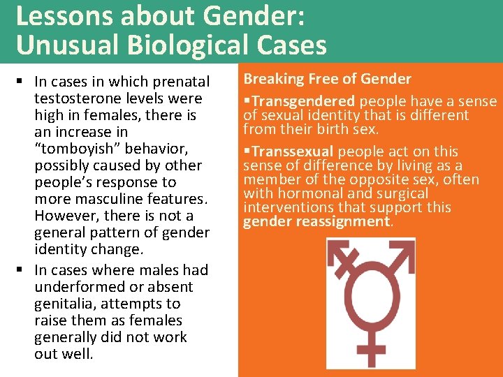 Lessons about Gender: Unusual Biological Cases § In cases in which prenatal testosterone levels