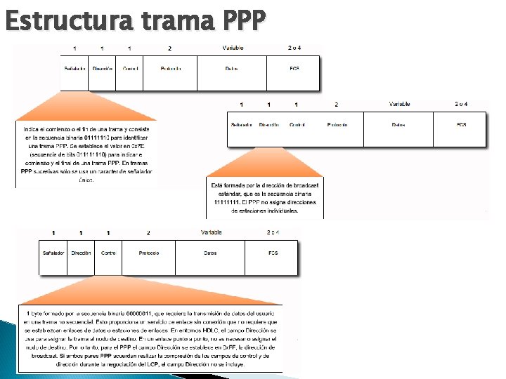 Estructura trama PPP 