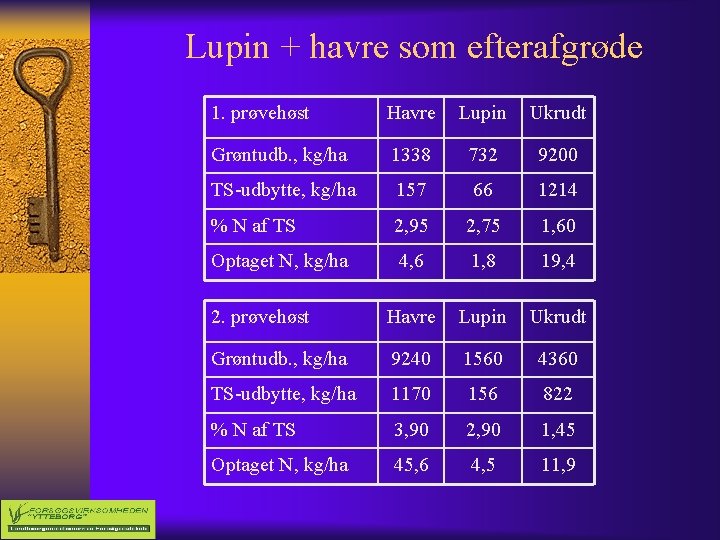 Lupin + havre som efterafgrøde 1. prøvehøst Havre Lupin Ukrudt Grøntudb. , kg/ha 1338