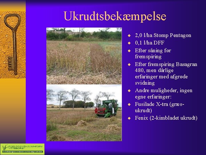 Ukrudtsbekæmpelse ¨ 2, 0 l/ha Stomp Pentagon ¨ 0, 1 l/ha DFF ¨ Efter