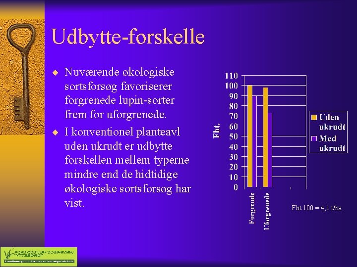 Udbytte-forskelle ¨ Nuværende økologiske sortsforsøg favoriserer forgrenede lupin-sorter frem for uforgrenede. ¨ I konventionel