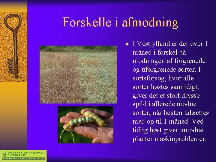 Forskelle i afmodning ¨ I Vestjylland er der over 1 måned i forskel på