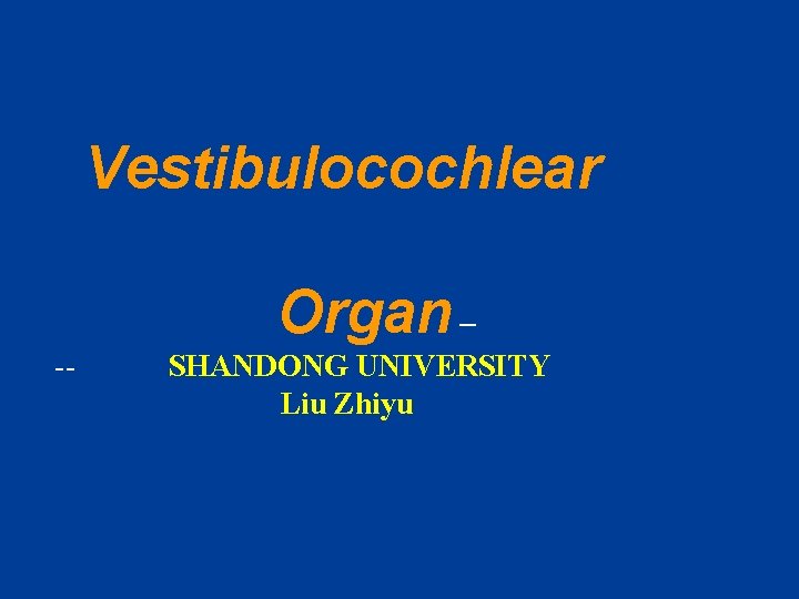  Vestibulocochlear Organ – -- SHANDONG UNIVERSITY Liu Zhiyu 