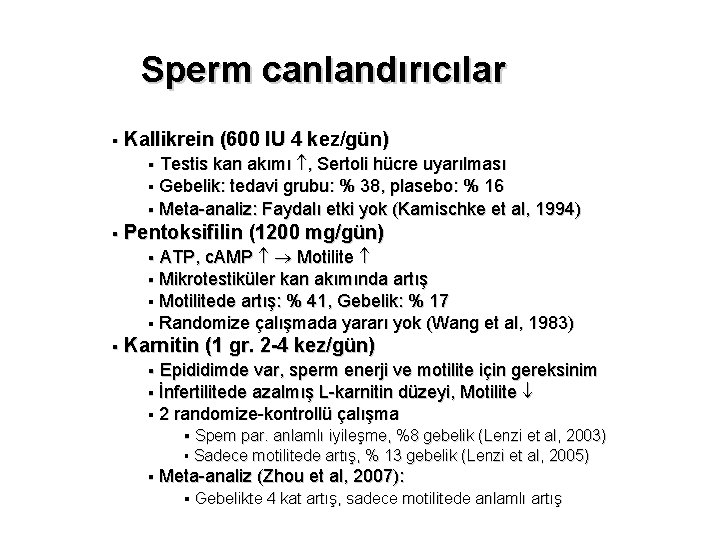 Sperm canlandırıcılar § Kallikrein (600 IU 4 kez/gün) Testis kan akımı , Sertoli hücre