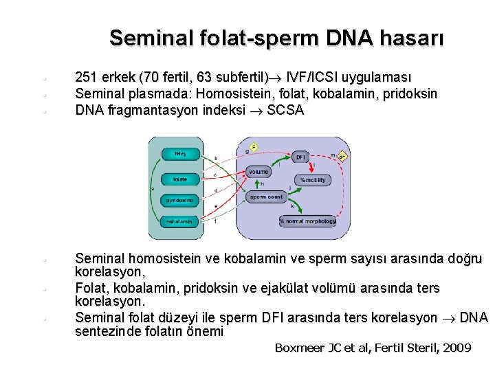 Seminal folat-sperm DNA hasarı § § § 251 erkek (70 fertil, 63 subfertil) IVF/ICSI