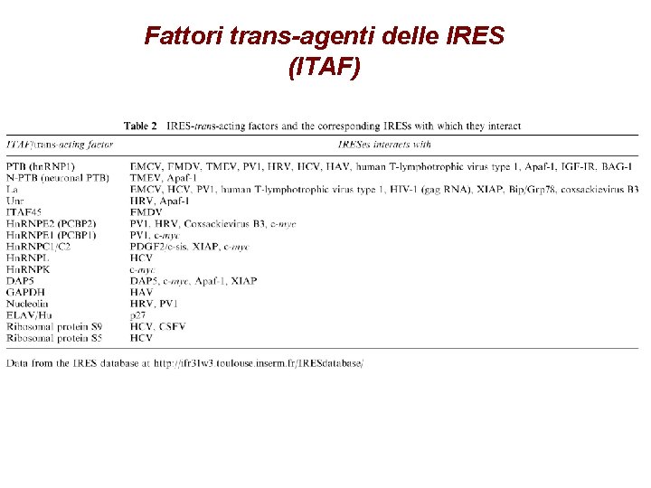 Fattori trans-agenti delle IRES (ITAF) Fattori trans-agenti delle IRES (ITAF)