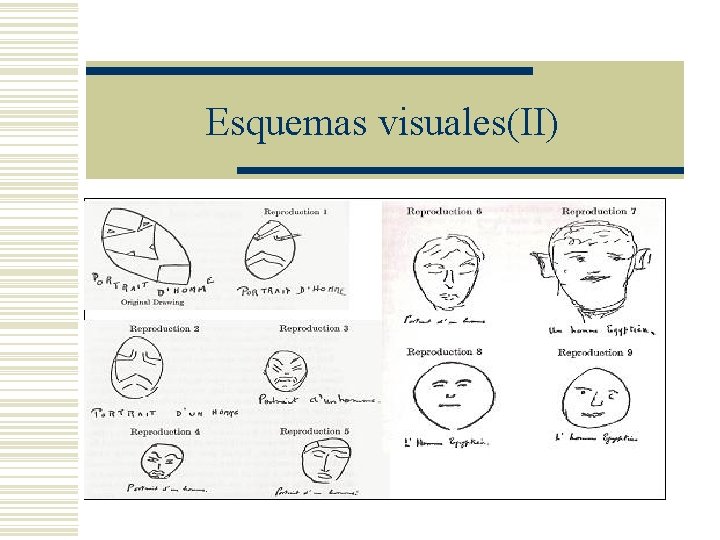 Esquemas visuales(II) Esquemas visuales(II)