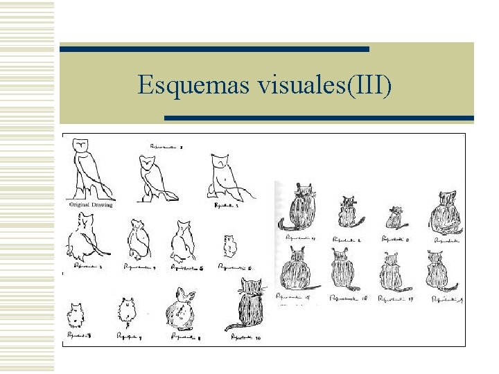 Esquemas visuales(III) Esquemas visuales(III)