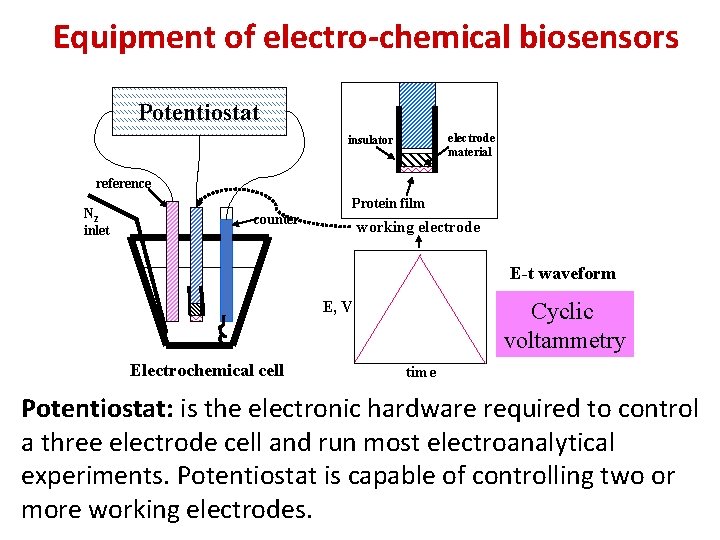 Equipment of electro-chemical biosensors Potentiostat electrode material insulator reference N 2 inlet Protein film