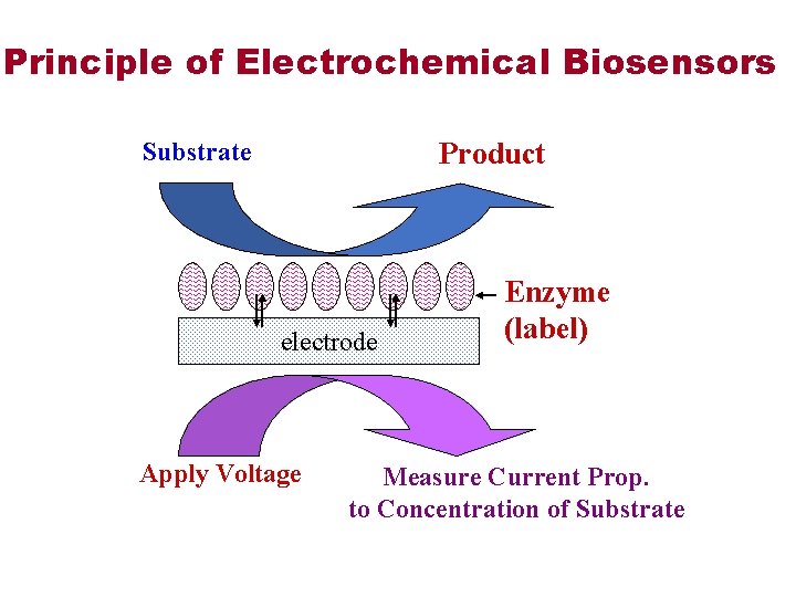 Principle of Electrochemical Biosensors Product Substrate electrode Apply Voltage Enzyme (label) Measure Current Prop.