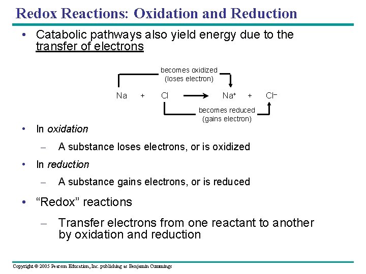 Redox Reactions: Oxidation and Reduction • Catabolic pathways also yield energy due to the