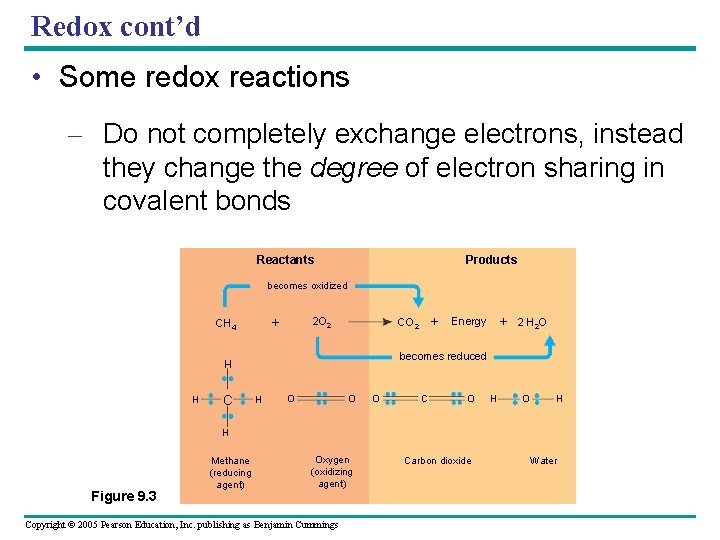 Redox cont’d • Some redox reactions – Do not completely exchange electrons, instead they
