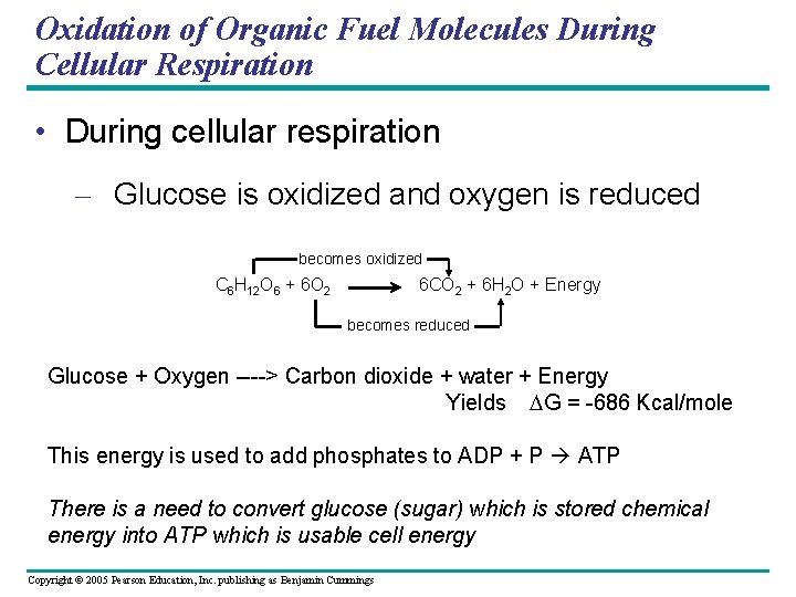 Oxidation of Organic Fuel Molecules During Cellular Respiration • During cellular respiration – Glucose