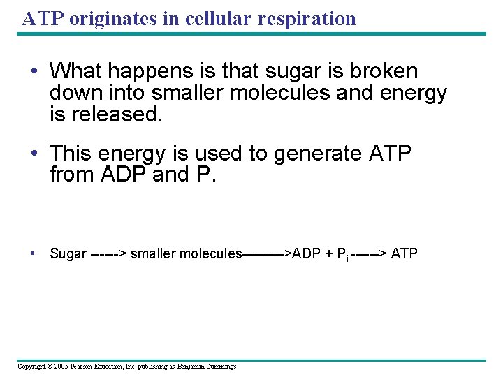 ATP originates in cellular respiration • What happens is that sugar is broken down