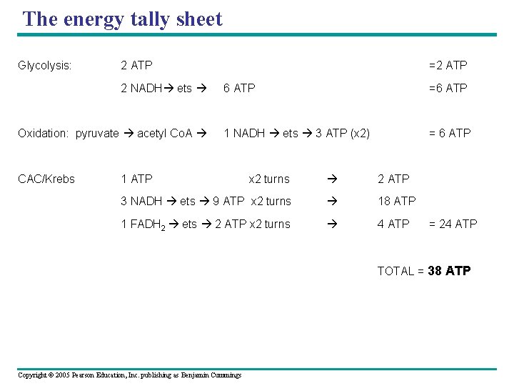 The energy tally sheet Glycolysis: 2 ATP 2 NADH ets =2 ATP 6 ATP