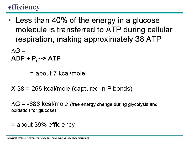 efficiency • Less than 40% of the energy in a glucose molecule is transferred