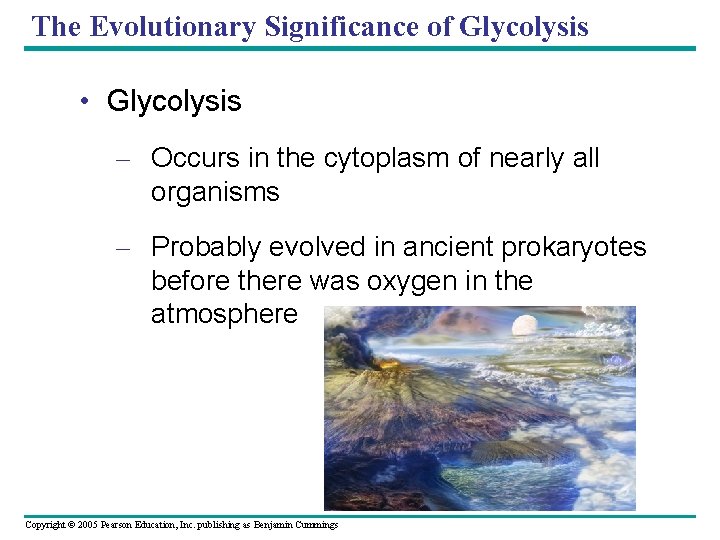 The Evolutionary Significance of Glycolysis • Glycolysis – Occurs in the cytoplasm of nearly