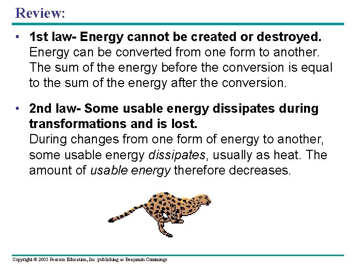 Review: • 1 st law- Energy cannot be created or destroyed. Energy can be