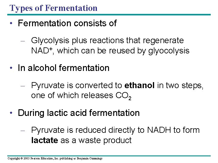 Types of Fermentation • Fermentation consists of – Glycolysis plus reactions that regenerate NAD+,
