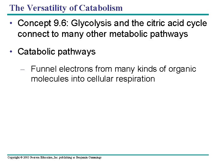 The Versatility of Catabolism • Concept 9. 6: Glycolysis and the citric acid cycle