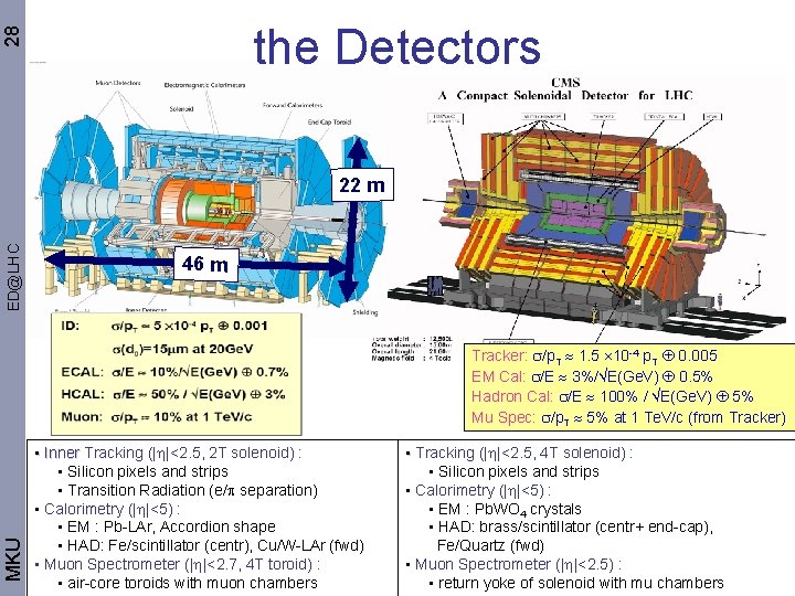 28 the Detectors ED@LHC 22 m 46 m MKU Tracker: /p. T 1. 5