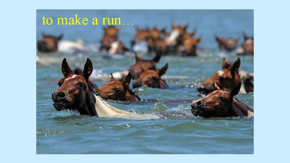 to make a run… to make a run…