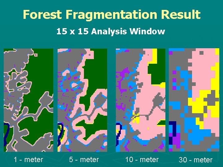 Forest Fragmentation Result 15 x 15 Analysis Window 1 - meter 5 - meter
