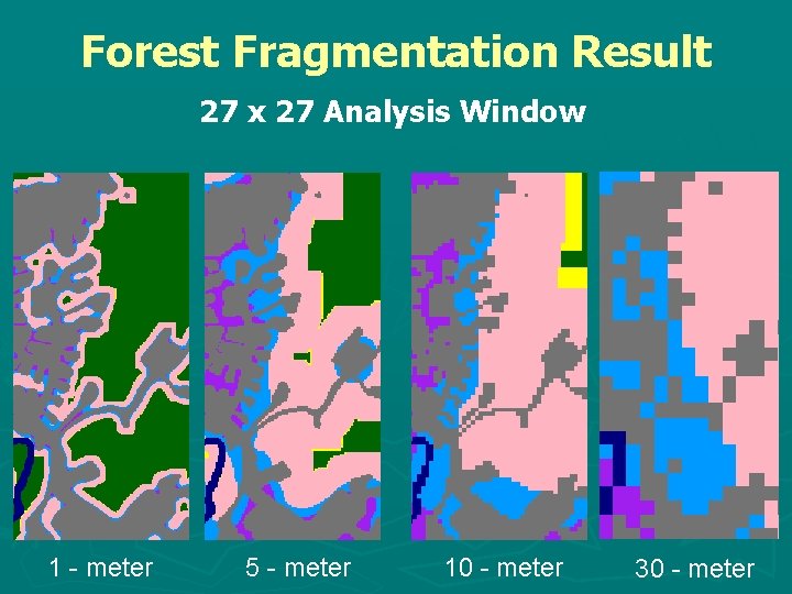 Forest Fragmentation Result 27 x 27 Analysis Window 1 - meter 5 - meter