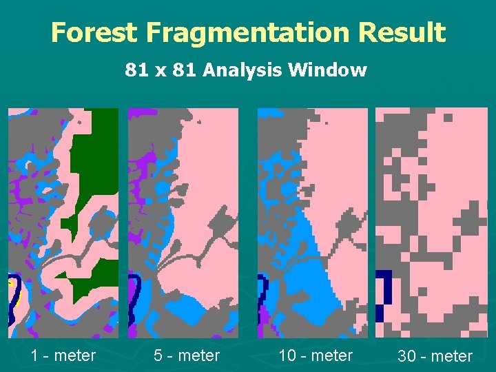 Forest Fragmentation Result 81 x 81 Analysis Window 1 - meter 5 - meter