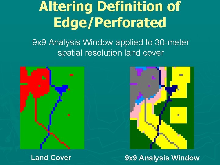 Altering Definition of Edge/Perforated 9 x 9 Analysis Window applied to 30 -meter spatial