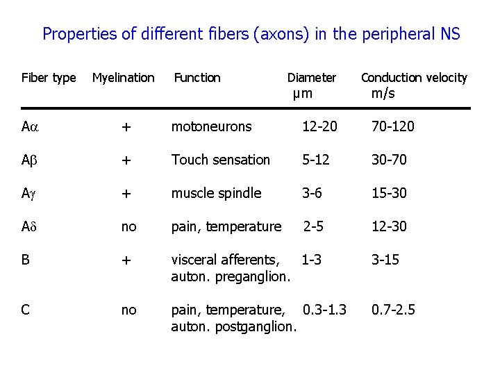 Properties of different fibers (axons) in the peripheral NS Fiber type Myelination Function Diameter