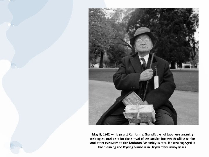 May 8, 1942 — Hayward, California. Grandfather of Japanese ancestry waiting at local park